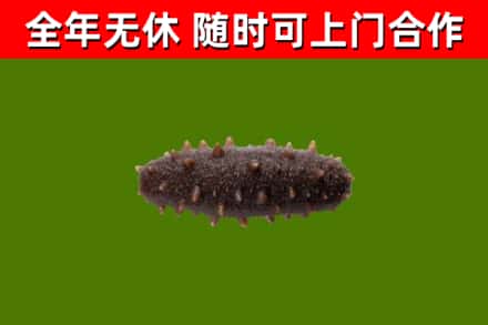 惠州烟酒回收干海参.jpg